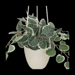 Ygo Artificiële Hangplant Lour Groen| Woondecoratie