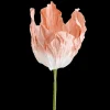 Ygo Bloem LOOK Papier Peach| Woondecoratie