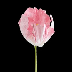 Ygo Bloem LOOK Papier Roze| Woondecoratie
