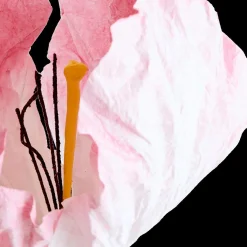 Ygo Bloem LOOK Papier Roze| Woondecoratie