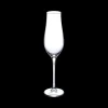 Ygo Champagneglas ORANE S/6 20cl| Glazen