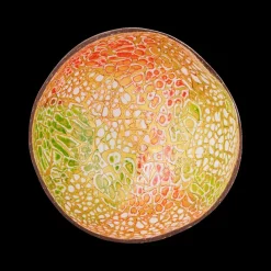 Ygo Cocosbowl NOYA Lime Green/Red Eggshel| Servies