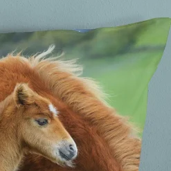 Ygo Dekbedovertrek REGINE 140X220| Slaapkamer|Kinderdekbedovertrekken