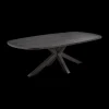 Ygo Eettafel ARTEGO Ovaal Sterpoot 200x100 Zwart| Eettafels