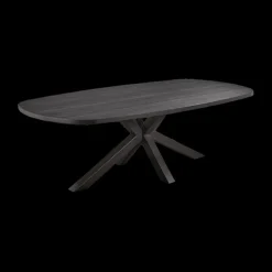 Ygo Eettafel ARTEGO Ovaal Sterpoot 200x100 Zwart| Eettafels