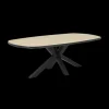 Ygo Eettafel ARTEGO Ovaal 200x100 Sterpoot French Oak| Eettafels