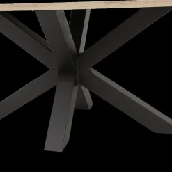 Ygo Eettafel EATING 225x120 Kiezelvorm| Eettafels