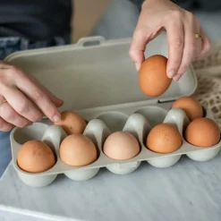 Ygo Eierdoos EGGS TO GO Nat. Desert Sand| Bewaaraccessoires