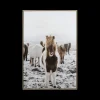 Ygo Framed Canvas TORBJORN Paard| Wanddecoratie