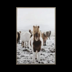 Ygo Framed Canvas TORBJORN Paard| Wanddecoratie