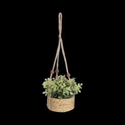 Ygo Hangplant KM Artif. in Mand Ass.| Woondecoratie