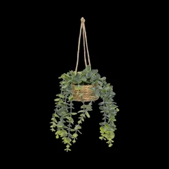 Ygo Hangplant PATRI in Mand Ass.| Woondecoratie