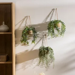 Ygo Hangplant PATRI in Mand Ass.| Woondecoratie