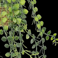 Ygo Hangplant PATRI in Mand Ass.| Woondecoratie