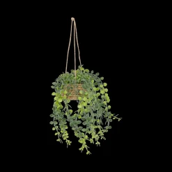 Ygo Hangplant PATRI in Mand Ass.| Woondecoratie