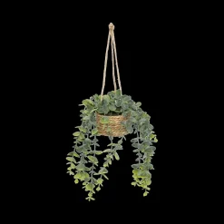 Ygo Hangplant PATRI in Mand Ass.| Woondecoratie