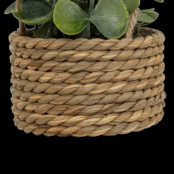 Ygo Hangplant PATRI in Mand Ass.| Woondecoratie