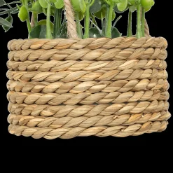 Ygo Hangplant PATRI in Mand Ass.| Woondecoratie