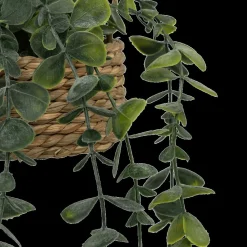 Ygo Hangplant PATRI in Mand Ass.| Woondecoratie