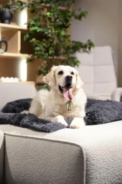 Ygo Hondendeken Sofa BOMMEL L L.Grijs| Kussens En Manden