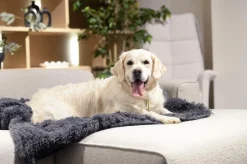 Ygo Hondendeken Sofa BOMMEL S Dk.Grijs| Kussens En Manden