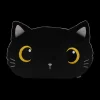 Ygo Kussen BLACK CAT| Decoratieve Accessoires|Accessoires