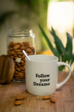 Ygo Mok Follow Your Dreams| Servies