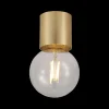 Ygo Plafondlamp BABU Ø8 Geborsteld Goud| Spots