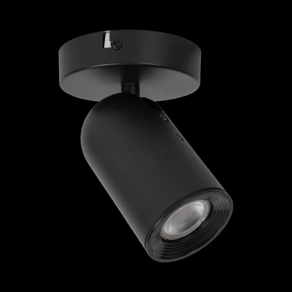 Ygo Plafondspot PUNCH 1Del. Zwart| Spots