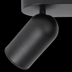 Ygo Plafondspot PUNCH 2Del. Zwart| Spots