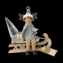 Ygo Rendier op Slee ASBJORN Ass.| Kerst