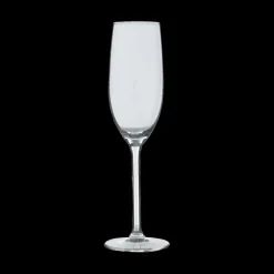 Ygo S/6 Champagneglazen ORPEA 16cl| Glazen