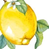 Ygo S/12 Servet LEMON Citroen Geel| Tafellinnen & -Textiel