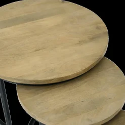 Ygo Salontafel S/3 BECCA Rond Mango| Salontafels & Bijzettafels