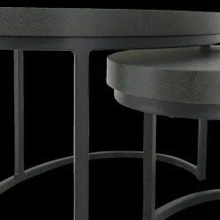 Ygo Salontafel Set van 2 CREEK Old Piano| Salontafels & Bijzettafels