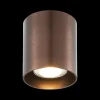 Ygo Spot BABAR Rond Geborsteld Brons| Spots