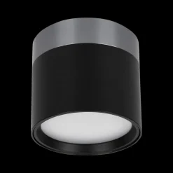 Ygo Spot RAKU Ø7.5 Zwart/Staal| Spots