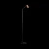 Ygo Vloerlamp TABOO 1Del. Zwart/Brons| Vloerlampen